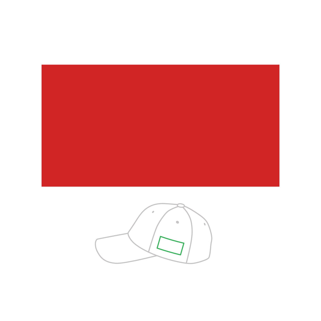 Youth Baseball Cap (Embroidery)
